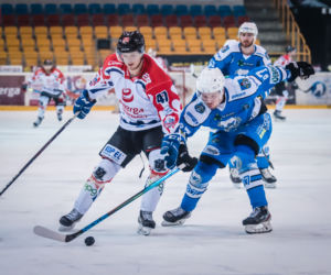 KH Energa Toruń - Re-Piast Unia Oświęcim 5:2, zdjęcia z Tor-Toru