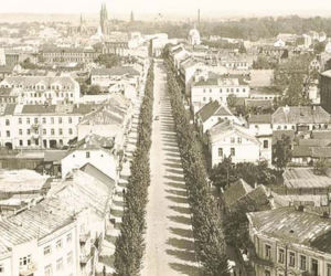 Ogólny widok miasta z kościoła św. Rocha - 1916 rok