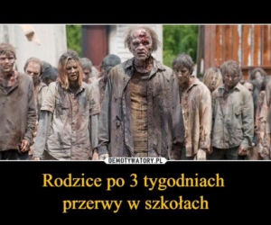 To już rok życia w pandemii. Jak Polacy radzili sobie z życiem na kwarantannie? [MEMY]