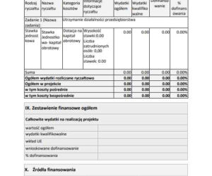 Dotacja na kapitał obrotowy. Wzór wniosku o dofinansowanie