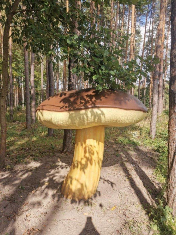 Olbrzymie modele grzybów w gminie Chmielnik