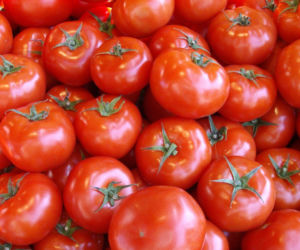Pomidor