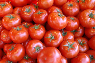 Pomidor
