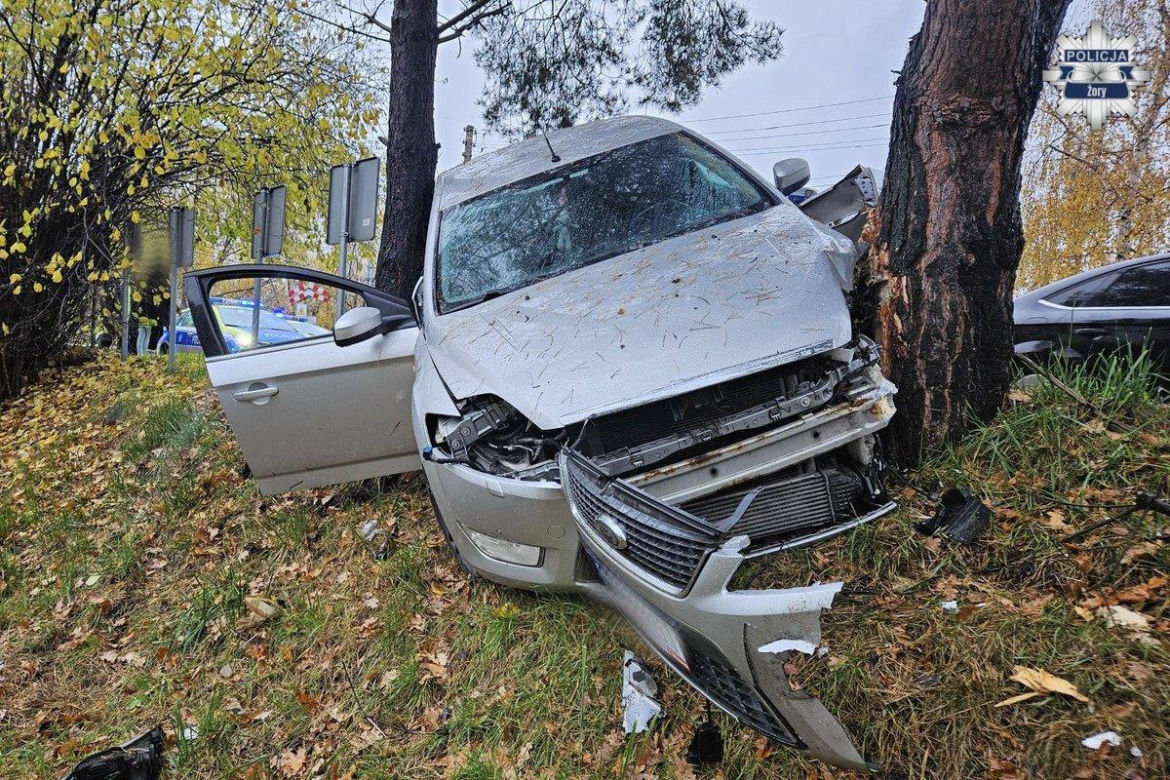 Pijany Ukrainiec rozbił auto na drzewie