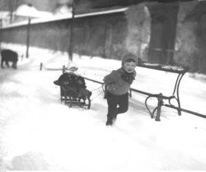 Zabawa na Plantach, 1936 rok