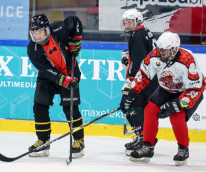 Mecz hokejowy Reprezentacji Artystów Polskich i Przedsiębiorców