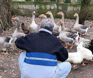 Półroczna Lusia udusiła się w pudełku owiniętym folią. Właścicielka uniewinniona