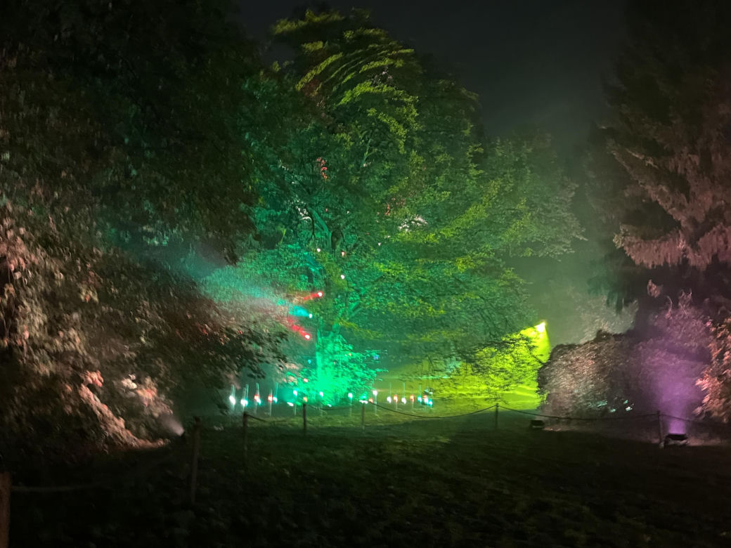 Lumina Park w Poznaniu. Multimedialny spacer w milionie świateł powraca w nowej odsłonie