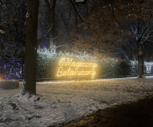 MagicznyBotaniczny 2025/2026 w Warszawie