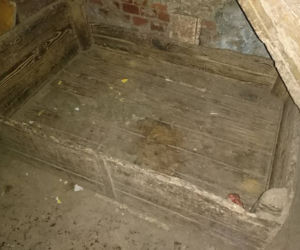 Pseudohodowla w Nowej Świdnicy