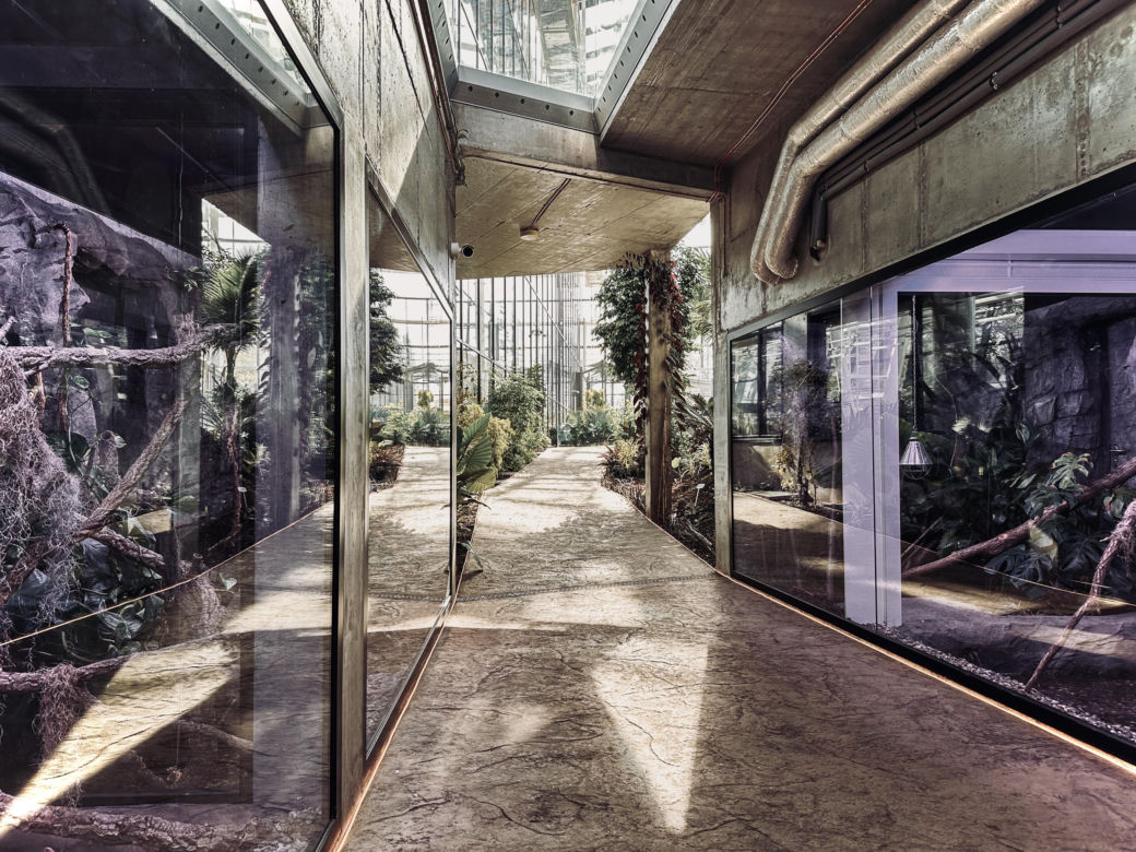 Nowe Egzotarium w Sosnowcu