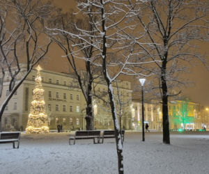 W Lublinie czuć klimat zbliżających się świąt. Iluminacje już świecą [GALERIA]