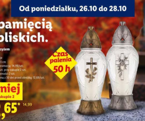 Znicze i chryzantemy w promocji w Lidlu przed 1 listopada 2026
