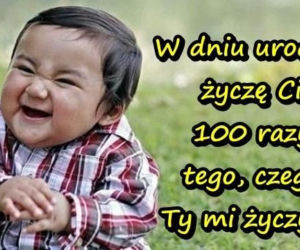 MEMY na urodziny! Zobacz najśmieszniejsze obrazki w internecie [GALERIA]
