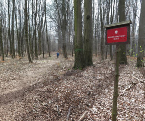 Rezerwat Segiet udostępni nowe szlaki dla mieszkańców