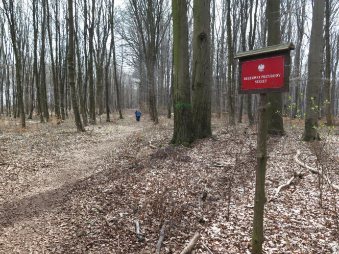 Rezerwat Segiet udostępni nowe szlaki dla mieszkańców