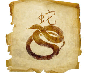 Nowy rok chiński - horoskop od znanej wróżki