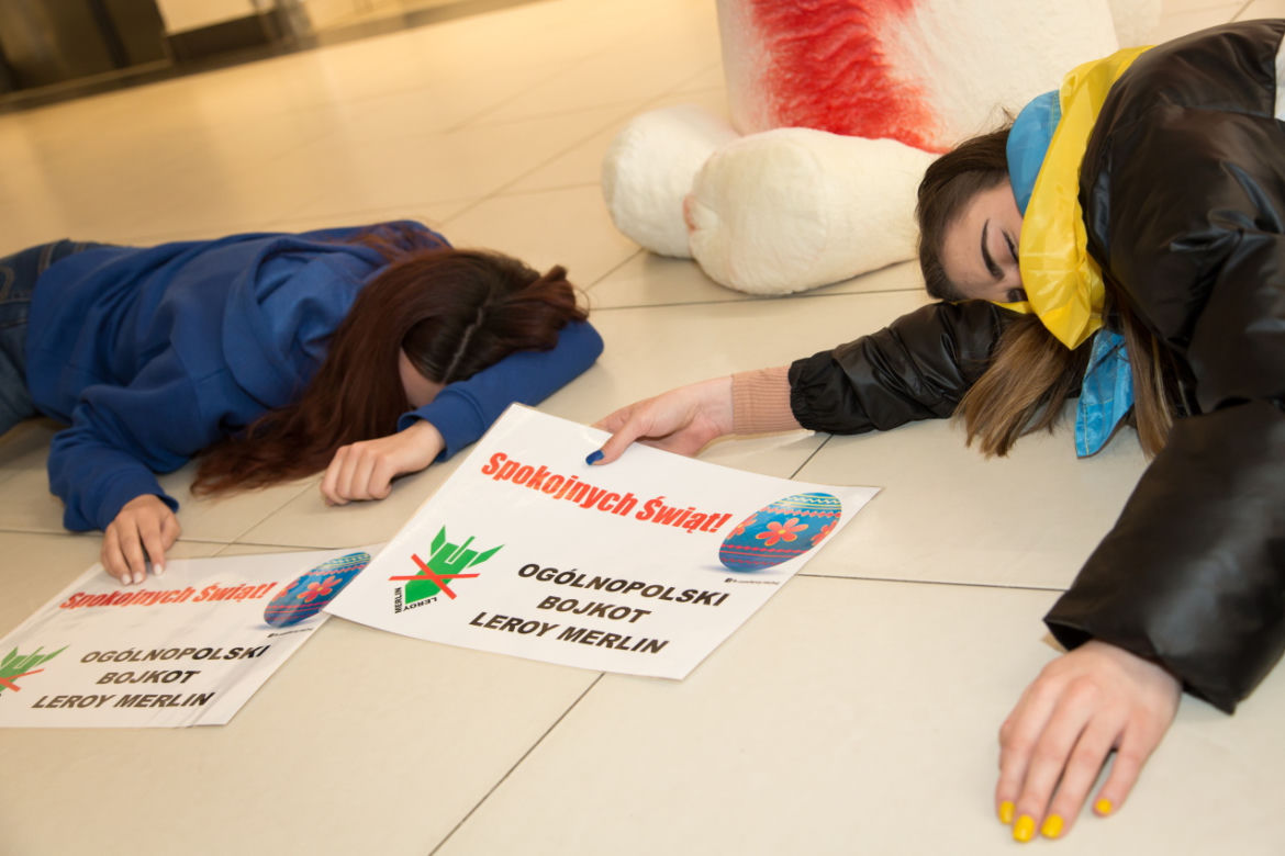 Protest przed Auchan w Warszawie. „Wspierasz ludobójstwo i cierpienie”