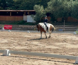 Grand Prix Olimpiad Specjalnych w jeździectwie we Francji