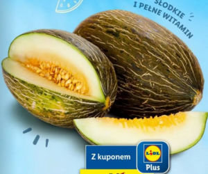 Promocje LIDL od 19.07