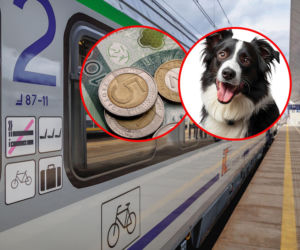 Podróż pociągiem będzie droższa. PKP podnosi opłaty od dziś