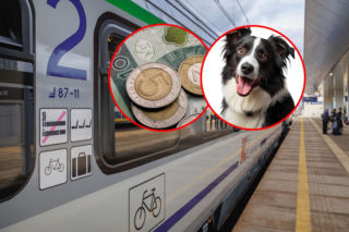 Nowy cennik PKP Intercity! Za bagaż i rower zapłacisz dużo więcej, taniej za psa