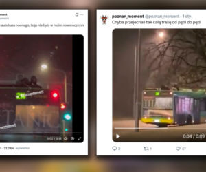 Jazda na dachu autobusu w Poznaniu. Nagranie mrozi krew w żyłach!