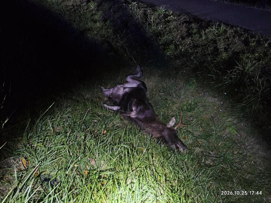 Cztery wypadki w końcówce października w powiecie hajnowskim