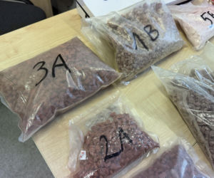 Policjanci z Torunia zabezpieczyli kilogramy narkotyków. 22-letnia kobieta i dwóch 41-latków w kajdankach