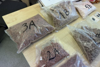 Policjanci z Torunia zabezpieczyli kilogramy narkotyków. 22-letnia kobieta i dwóch 41-latków w kajdankach