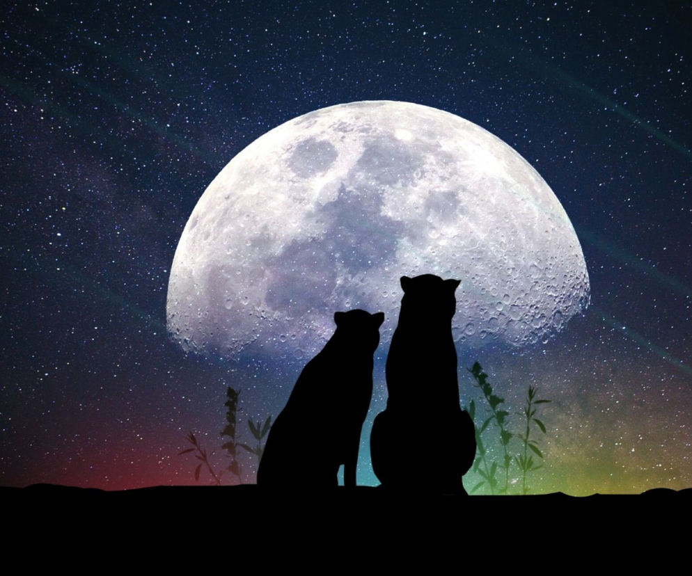 Pełnia Niebieskiego Księżyca w Warszawie. Jak i kiedy oglądać Blue Moon w lutym 2020?