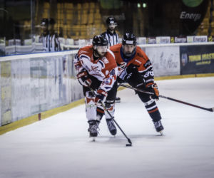 KH Energa Toruń - Ciarko STS Sanok 5:1 - zdjęcia z Tor-Toru
