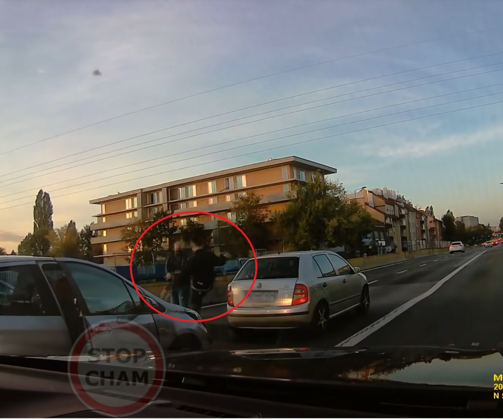 Fight club na środku ulicy. To przyjezdni. Mieszkańcy Krakowa walczą na maczety 