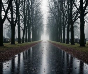 Ostatnie pożegnanie Marcina Przewoźniaka. Co powiedział jego brat na cmentarzu?