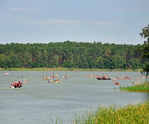 Wyspa Konwaliowa