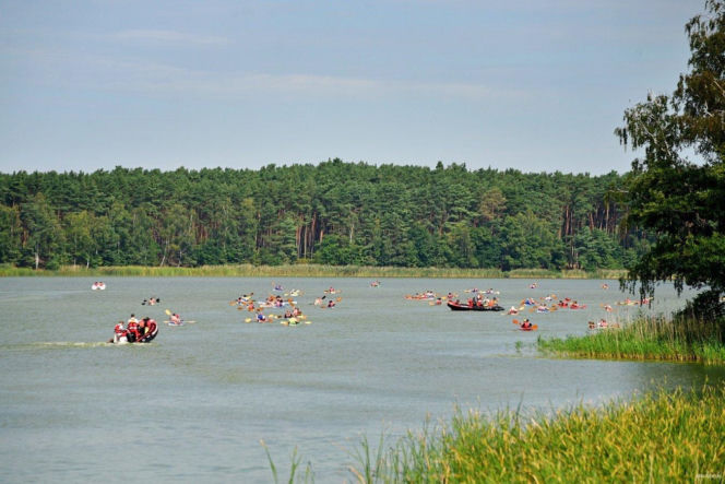 Wyspa Konwaliowa