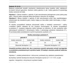 Matura 2021: Biologia. Arkusze CKE z biologii znajdziesz tutaj [Matura 12.05.2021]