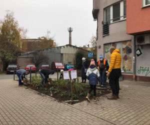Nowy, zielony skwerek na Szyperskiej