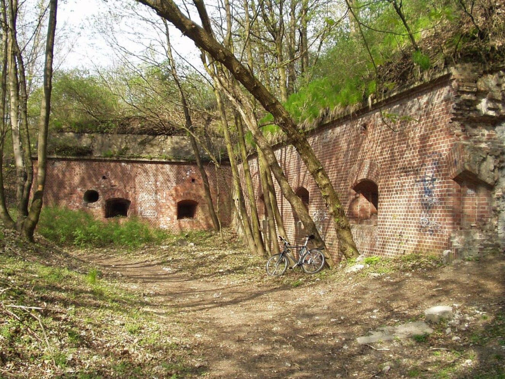 Fort VII