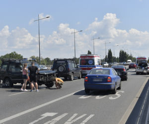 Zderzenie na Trasie Łazienkowskiej
