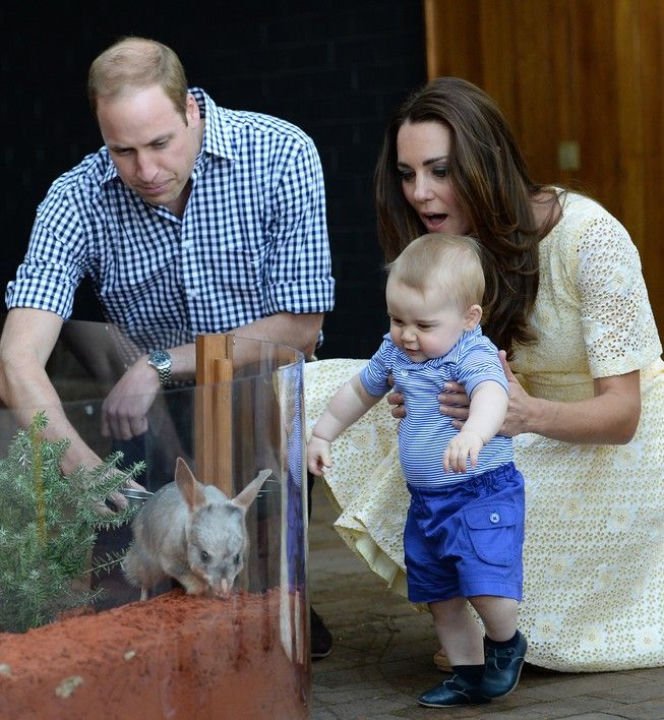Księżna Kate w ZOO