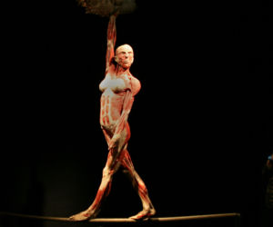 Rzeźby Gunthera von Hagens