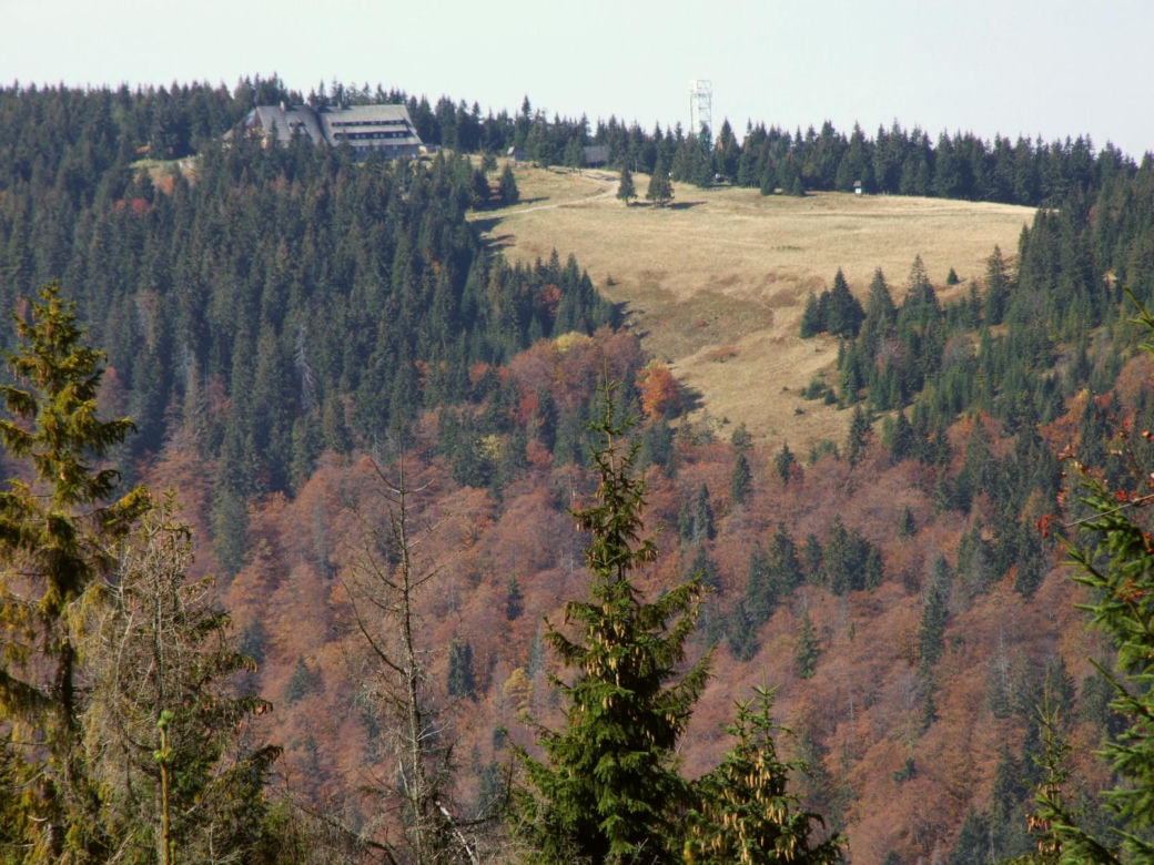 Turbacz, Gorce
