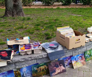 Pchli targ na Pogodnie