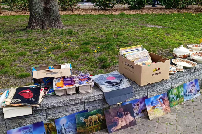 Pchli targ na Pogodnie