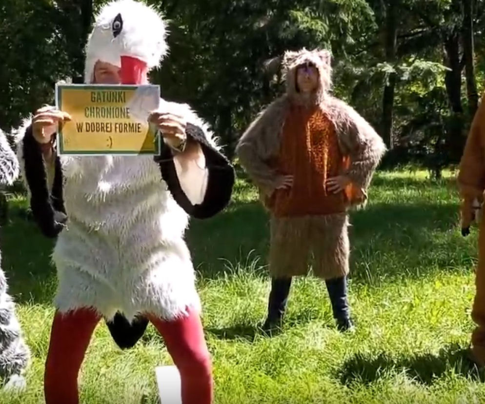 GDOŚ w Gaszyn Challenge! Gatunki chronione są w dobrej formie? Ten bocian bawi do łez!