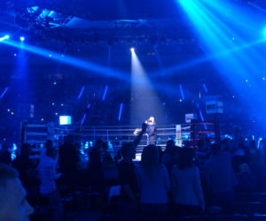 KSW 24