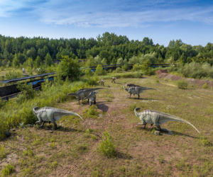 JuraPark Krasiejów