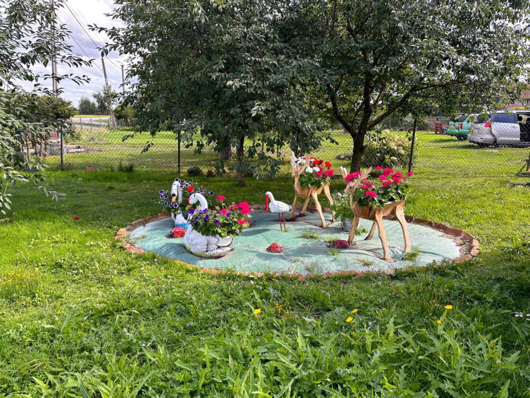 Orły plądrują wieś z jej skarbów. Żarłoczne ptaki nie mają litośc