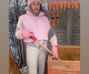 Doda ratuje psy przed mrozem